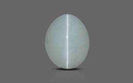 Cat's Eye - CE 10606 (Origin - Cylone) Prime - Quality